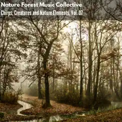 Nature Forest Music Collective - Chirps, Creatures and Nature Elements, Vol. 07 by Various Artists album reviews, ratings, credits