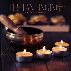 Tibetan Singing Bowls & Birds in Forest: 1 Hours Meditation Music by Jasmine Soft, Olivia Mood & Maire Rama album reviews, ratings, credits