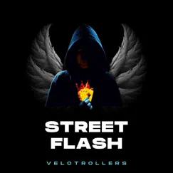 Street Flash (feat. Tubarão Baixada, Marcão Britto & Pinguim Ruas) - Single by Velotrollers album reviews, ratings, credits