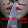 Taglio Nell'Anima (Remix) - Single album lyrics, reviews, download
