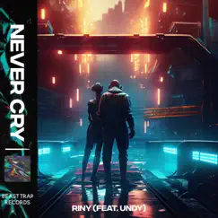 Never Cry (feat. undy) - Single by RINY album reviews, ratings, credits