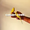 Canary Song - Single album lyrics, reviews, download