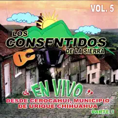 Caminos d Michoacán Song Lyrics