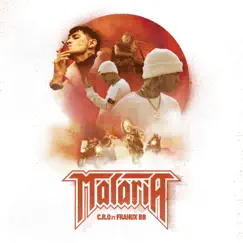 Malaria - Single by C.R.O & Franux BB album reviews, ratings, credits
