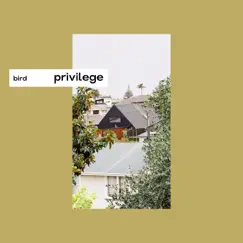 Privilege - Single by BIRD album reviews, ratings, credits