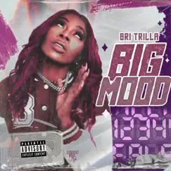 Big Mood - Single by Bri Trilla album reviews, ratings, credits