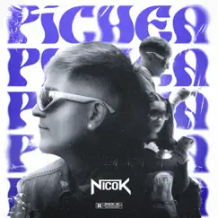 Pichea - Single by Nicok album reviews, ratings, credits