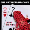 Under the Frog (Acoustic) - EP album lyrics, reviews, download