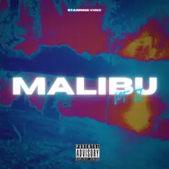 Malibu Pt. 2 - Single by VXNX album reviews, ratings, credits