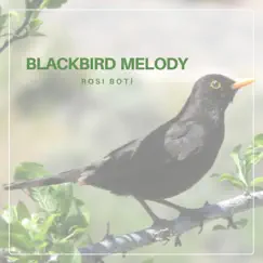 Blackbird Melody - Single by Rosi Botí album reviews, ratings, credits