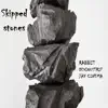 SKIPPED STONES (feat. DEVIOUSTRIP & Jay Cinema) - Single album lyrics, reviews, download