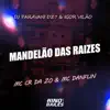 Mandelão das Raizes (feat. DJ PARAVANI DZ7) - Single album lyrics, reviews, download