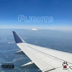 Flights - Single by Long Journey album reviews, ratings, credits