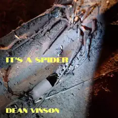 It's a Spider by Dean Vinson album reviews, ratings, credits
