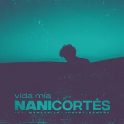 Vida Mía Song Lyrics