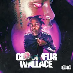 Goochifur Wallace by ZWO album reviews, ratings, credits