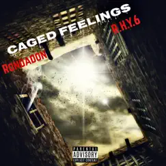 Caged Feelings Song Lyrics