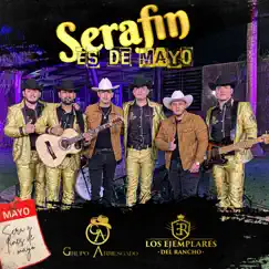 Serafín Es De Mayo - Single by Los Ejemplares del Rancho & Grupo Arriesgado album reviews, ratings, credits
