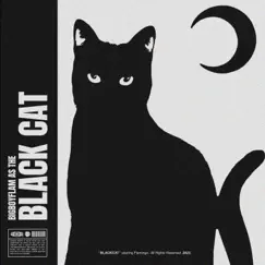 BLACK CAT by Flamingo Orion album reviews, ratings, credits