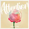 Attention (feat. reanne) - Single album lyrics, reviews, download