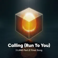 Calling (Run To You) Song Lyrics