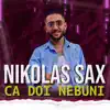 Ca Doi Nebuni - Single album lyrics, reviews, download