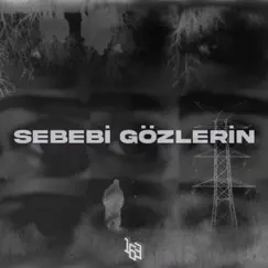 SEBEBİ GÖZLERİN Song Lyrics