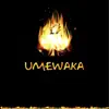 Umewaka (feat. Kflow) - Single album lyrics, reviews, download