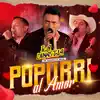 Popurrí Al Amor (No Te Olvidaré/ Adiós Adiós Amor/ Mi Vida Eres Tú) - Single album lyrics, reviews, download