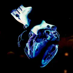 Shredding My Heart - Single by Henri Werner album reviews, ratings, credits