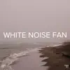 !!!" White Noise Fan "!!! album lyrics, reviews, download