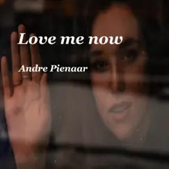 Love Me Now - Single by Andre Pienaar album reviews, ratings, credits