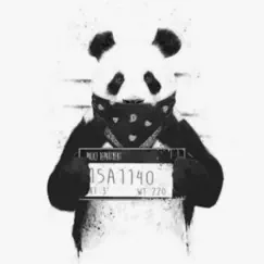 Panda Song Lyrics