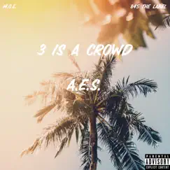 3 is a Crowd - Single by 845tlAES album reviews, ratings, credits