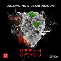 Dream of You Song Lyrics