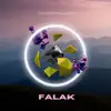 Falak - Single album lyrics, reviews, download