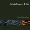 Sons Calmantes de Spa: Música Calmante para Massagem, Relaxamento e Cura Terapêutica album lyrics, reviews, download