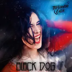 Black Dog - Single by The Voodoo Child album reviews, ratings, credits