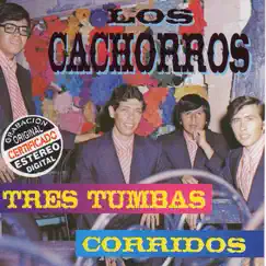 Tres Tumbas Corridos by Los Cachorros album reviews, ratings, credits