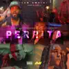 Perrita (feat. Queen Parker & SPS La Sorpresa) - Single album lyrics, reviews, download