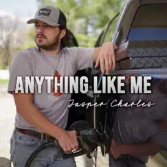 Anything Like Me - Single by Jasper Charles album reviews, ratings, credits