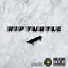 Rip Turtle (feat. Jive Hive Beats) - Single album lyrics, reviews, download