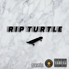 Rip Turtle (feat. Jive Hive Beats) Song Lyrics