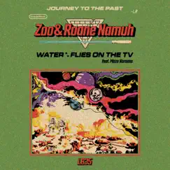 Water / Flies On the TV - Single by Zoo & Roane Namuh album reviews, ratings, credits