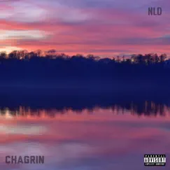 Chagrin - Single by NLD album reviews, ratings, credits