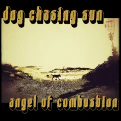 Angel of Combustion by Dog Chasing Sun album reviews, ratings, credits