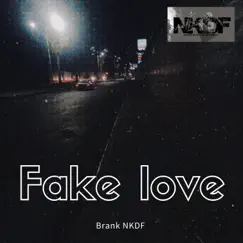 Fake Love - Single by Brank NKDF album reviews, ratings, credits
