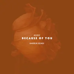 Because of You (Barbur Remix) - Single by Kuzey album reviews, ratings, credits