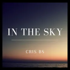 In the Sky - Single by Cris BS album reviews, ratings, credits