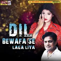Dil Bewafa Se Laga Liya by Various Artists album reviews, ratings, credits